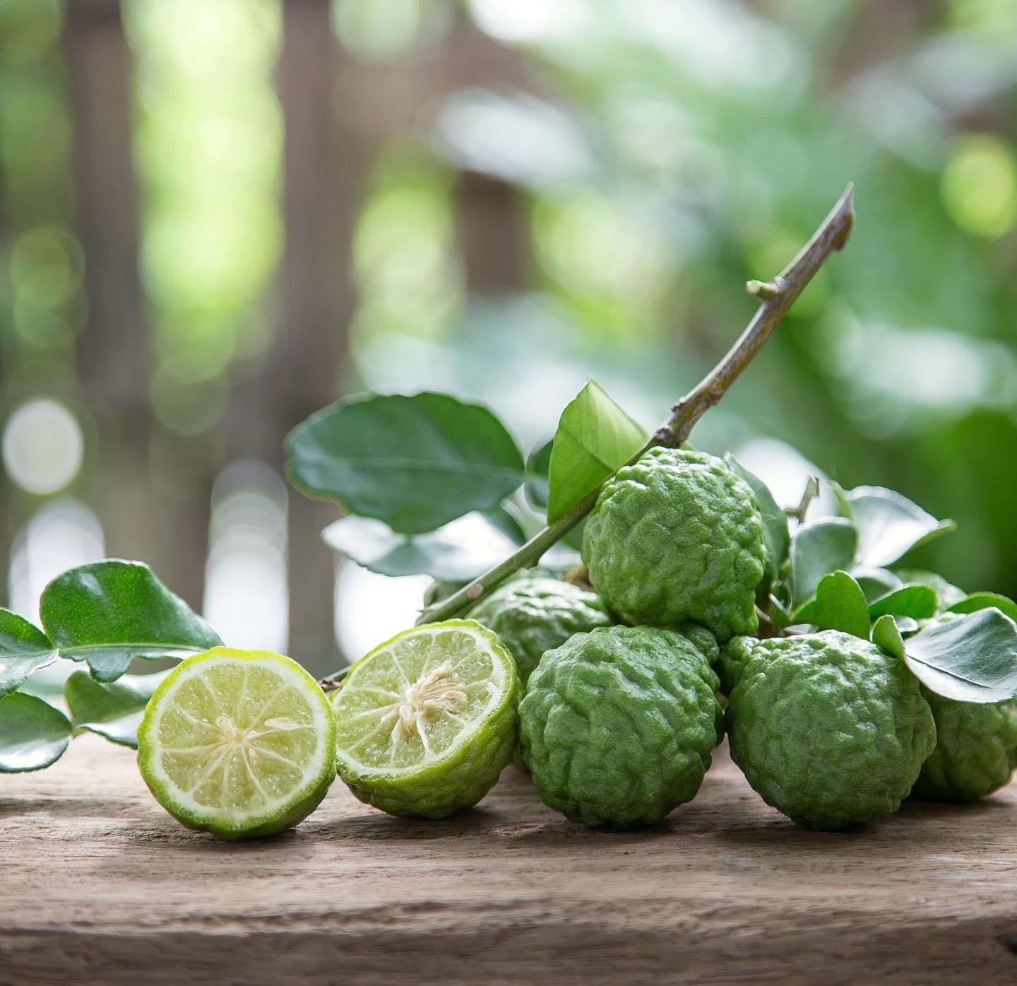 Mezcla de cítricos 100g