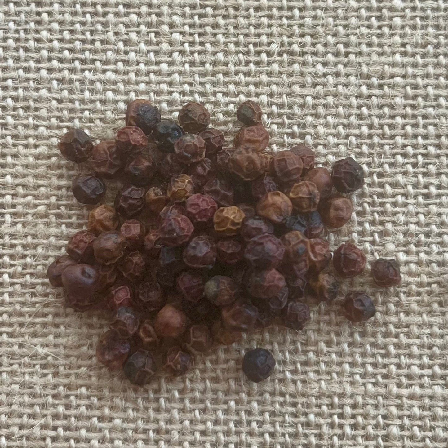 Mondulkiri red peppercorns