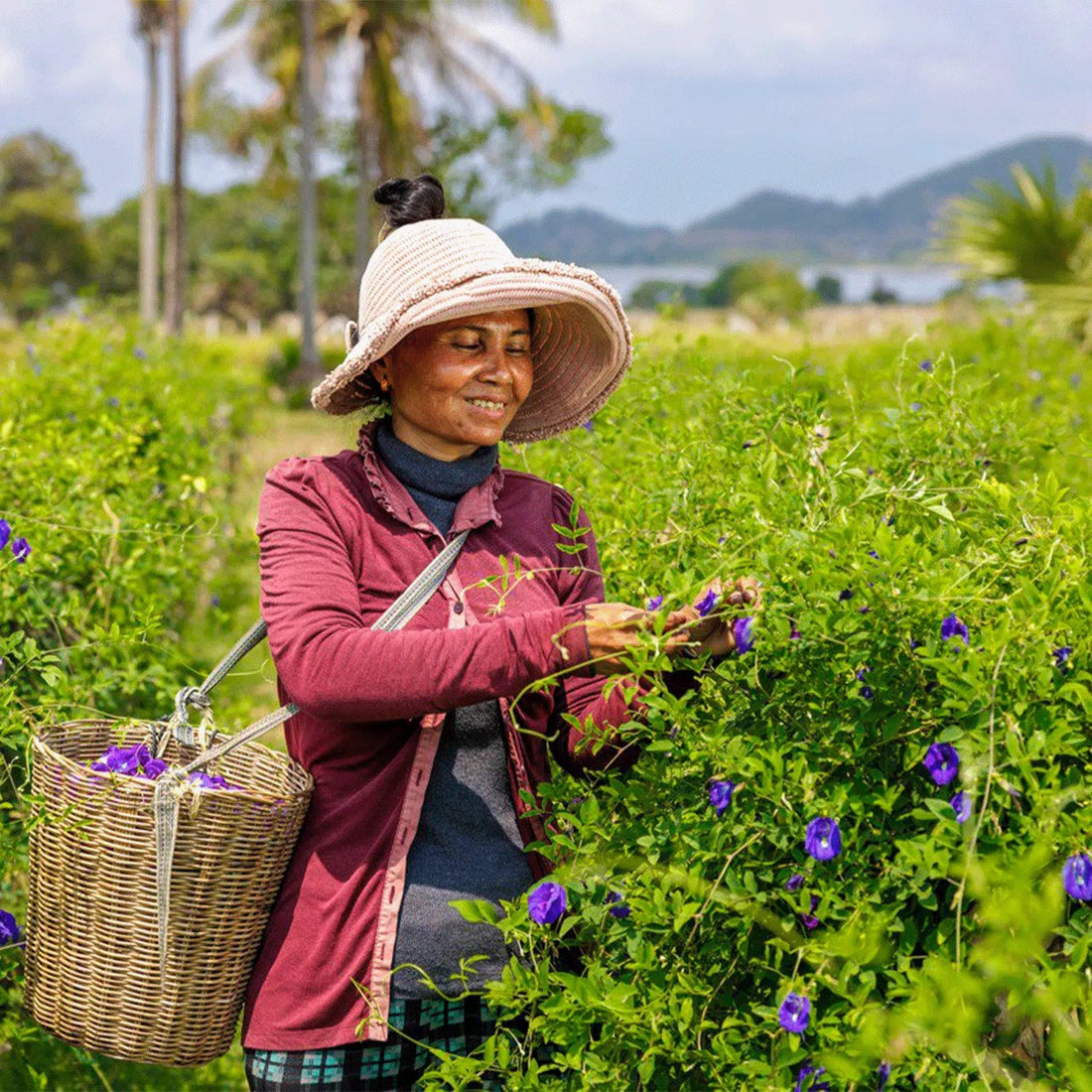 A Visit to La Plantation