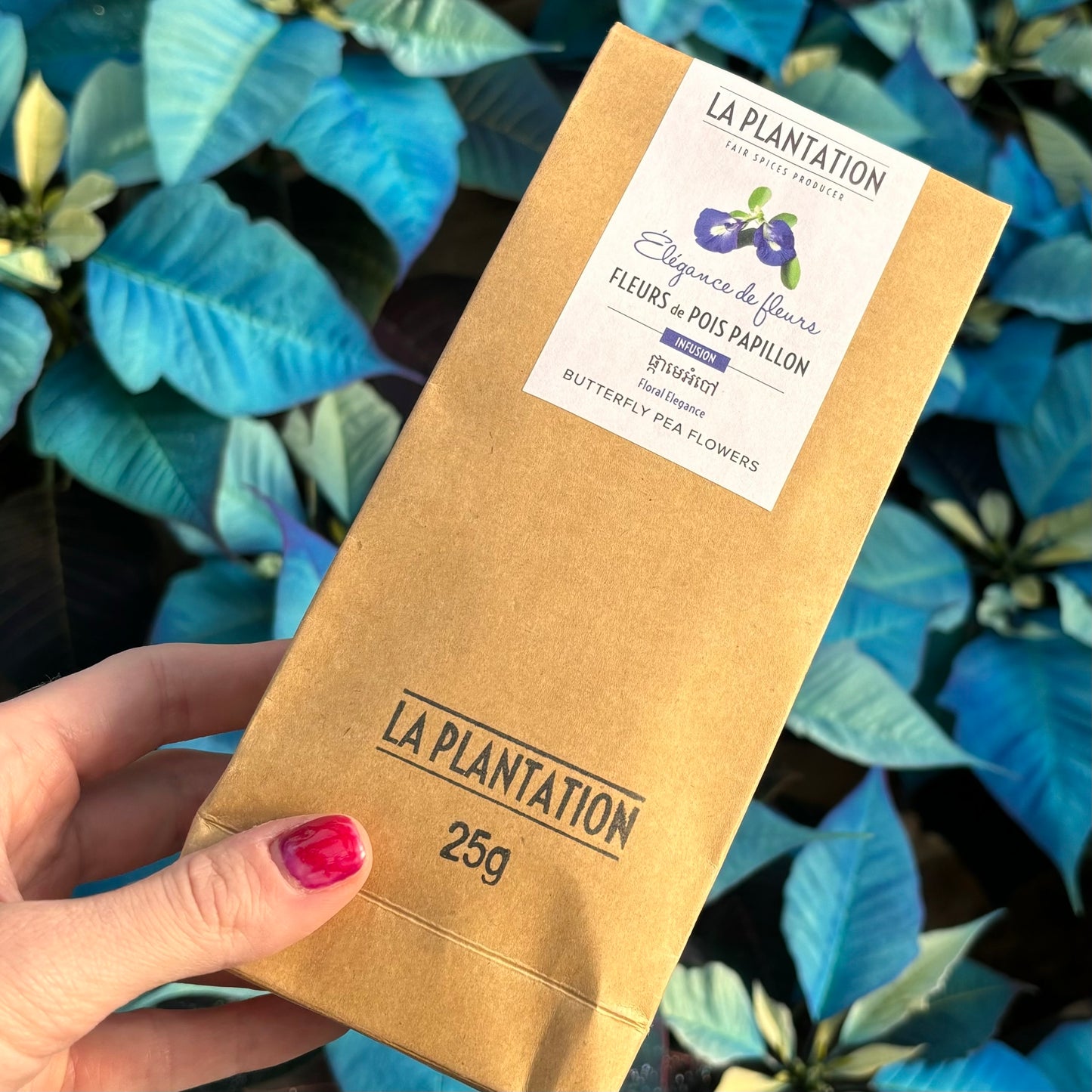 Infusion de fleurs de pois papillon 25 g