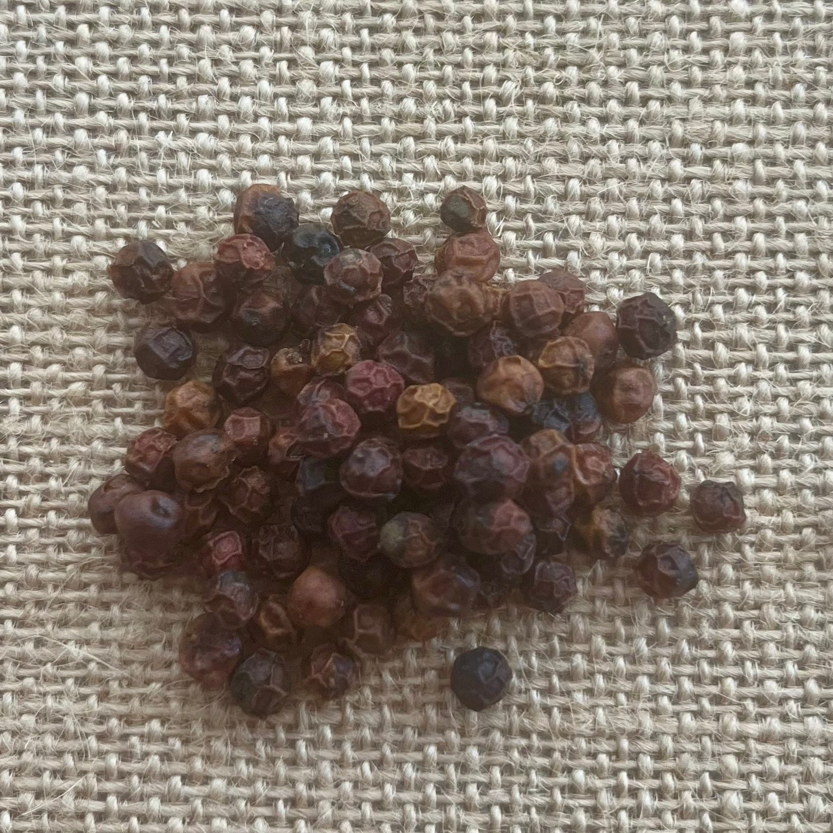 Mondulkiri red peppercorns