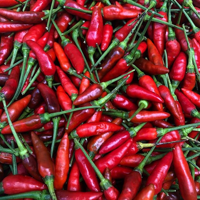 Python Chili Smoked Bird Chili – La Plantation Canada