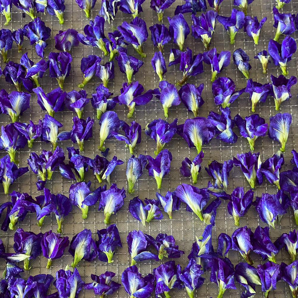 Butterfly Pea Flower Infusion 50g